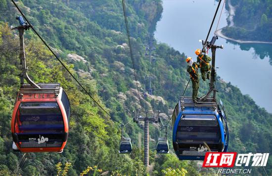 4月15日上午,张家界消防在世界最长高山客运索道——张家界天门山索道开展救援演练,在悬崖绝壁间营救被困轿厢游客。