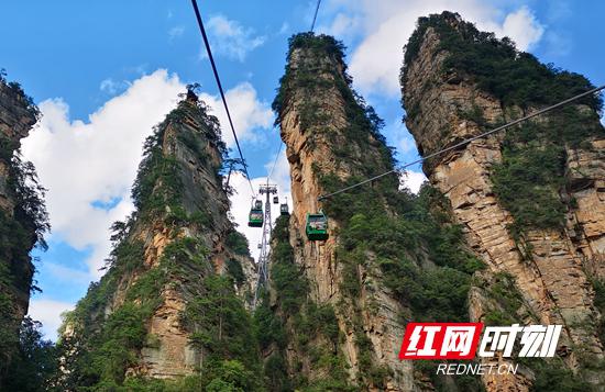 8月14日，游人乘索道游览黄石寨（吴勇兵 摄）