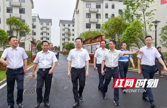  集团党委书记、董事长蔡典维（前排左三）调研易地扶贫搬迁安置点。