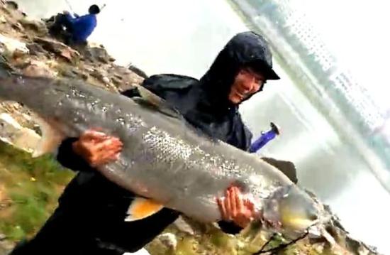 娄底资江河惊现鱼王!有一人多高 抱都抱不住