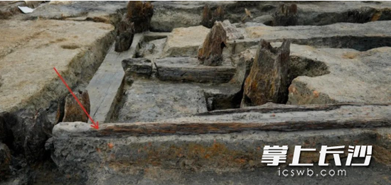 湖南澧县鸡叫城遗址隔墙木底板。湖南省文物考古研究所供图
