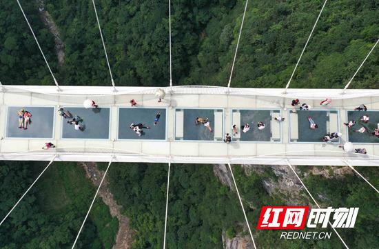 2020年7月30日,游人在张家界大峡谷景区玻璃桥游览。