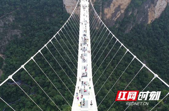 2020年7月30日,游人在张家界大峡谷玻璃桥游览。