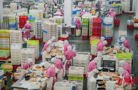 湘佳股份的食品产业园