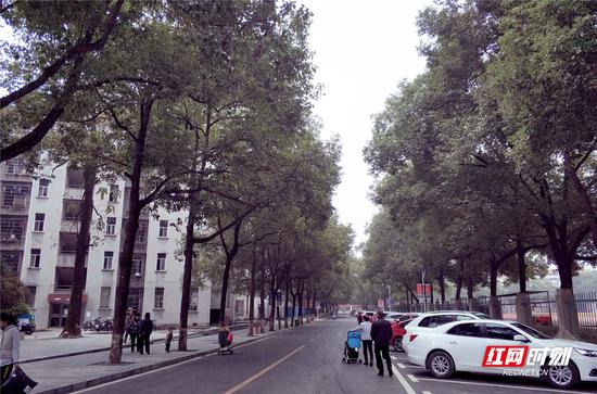 今日湘西,迟日晚来,早起自在。李白华 摄