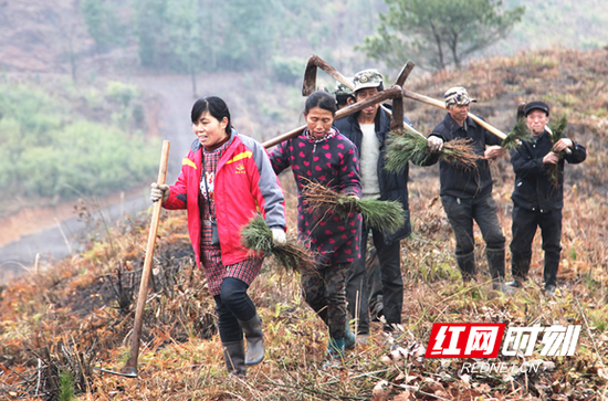 邵阳隆回：千把锄头闹“春造”
