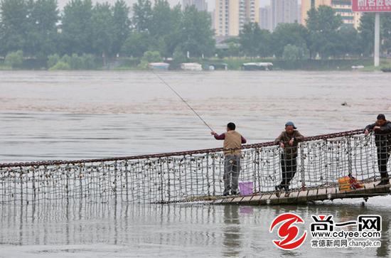 沅江水位 未“过戒”