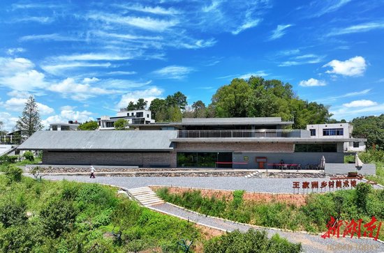 株洲市渌口区渌口镇王家洲乡村美术馆。湖南日报全媒体记者童迪 摄