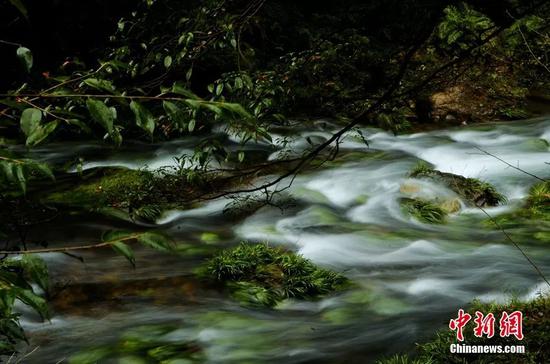 清澈见底的小溪，水声响彻山谷。吴勇兵摄