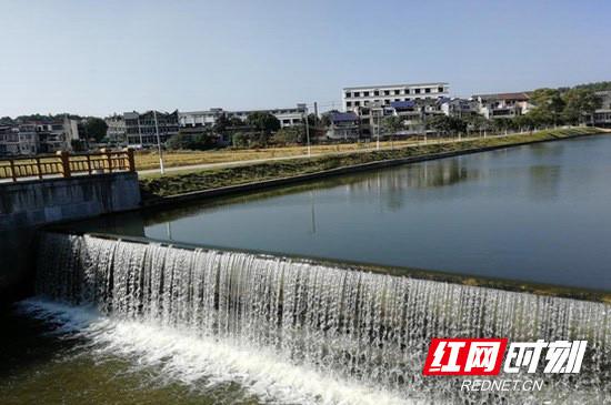 长沙县金井镇不再污水横流 养殖污染治理率达80%