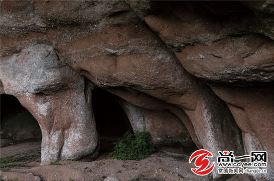 洞内石柱,有人说像象腿,有人说像牙齿。