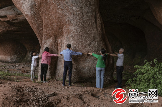 这条大腿粗吧,10个人都抱不拢来。