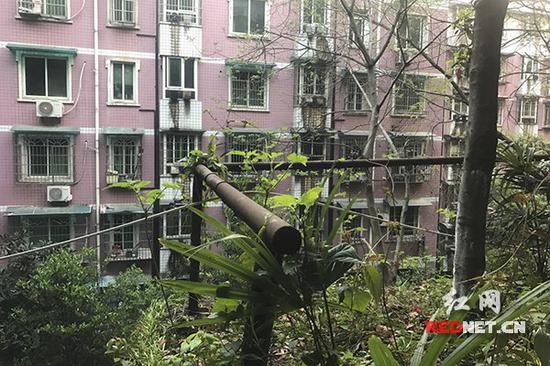 长沙中建桂苑小区的观景台铁栅栏生锈。