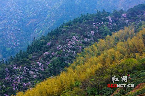 南岳美景。