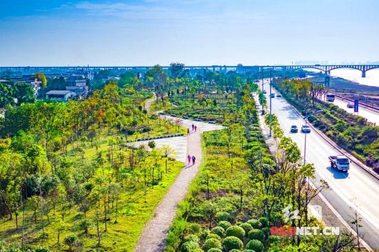 湘江南路东侧昔日烂泥地如今变成精致景观。