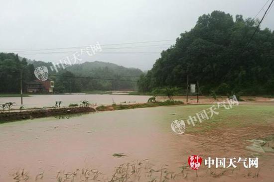 强降雨致重庆梁平部分农田被淹。（图/梁平气象局）