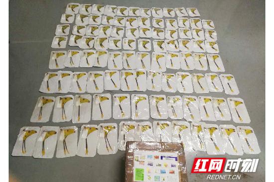 被截获的99件彗星飞蛾标本。