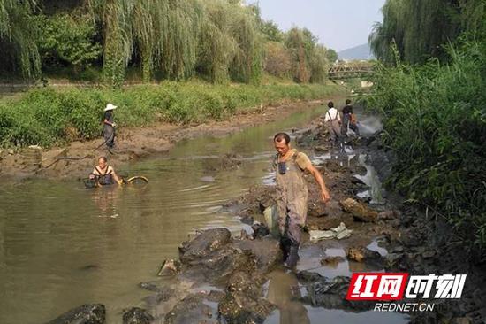 肖河（赏月路下游段）清淤工程于9月8日开始施工，9月17日完工，共计花费9天时间完成肖河一公里清淤。