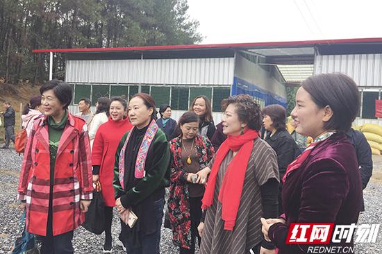 姜欣和女企业家一行参观架枧村生态养殖基地。