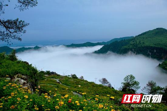 黄岩生态旅游区涌动的云海。景区供图