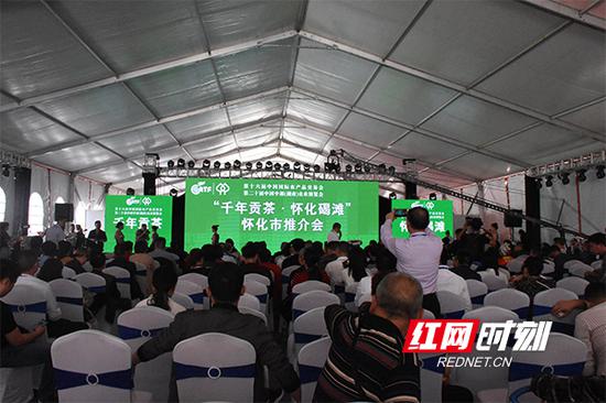 怀化优质农产品推介会，重点推介了怀化碣滩茶。