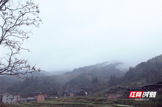 通道县通坪村阴雨天气。吴三东 摄