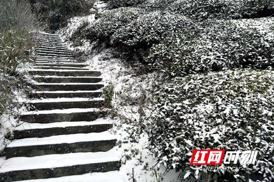 东山峰雪景。