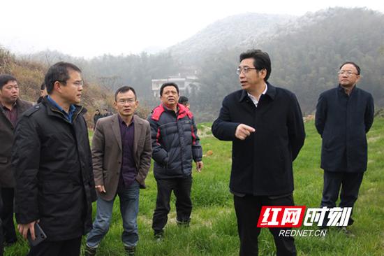 12月11日下午，衡阳市委副书记、市长邓群策（右二）赴常宁大义山省级自然保护区专题调度环保督察整改工作。