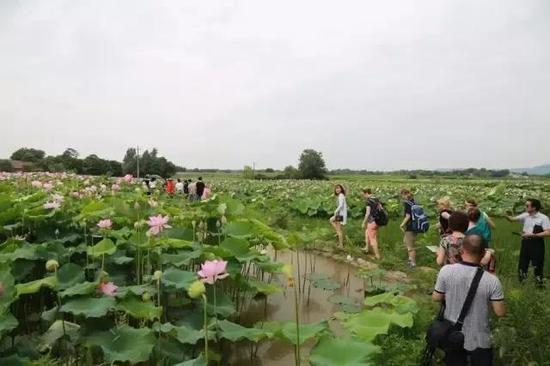 岳阳6个村获省级美丽乡村建设示范村 快看是你家吗