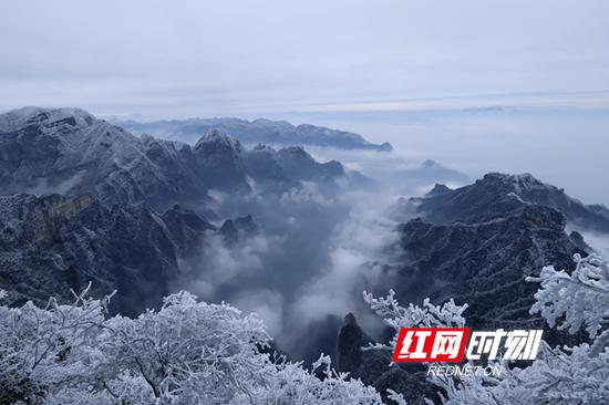 受冷空气影响，11日张家界天门山景区迎来新春首场降雪，景区内瑞雪、雾凇、云海三种美景同时呈现，美不胜收。