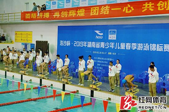 湖南省青少年儿童春季游泳锦标赛现场。本文摄影/周雨墨