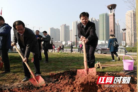 天元区市民中心义务植树点,毛腾飞同大家一起植树。