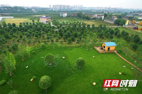 长沙绿心折射城市发展之变