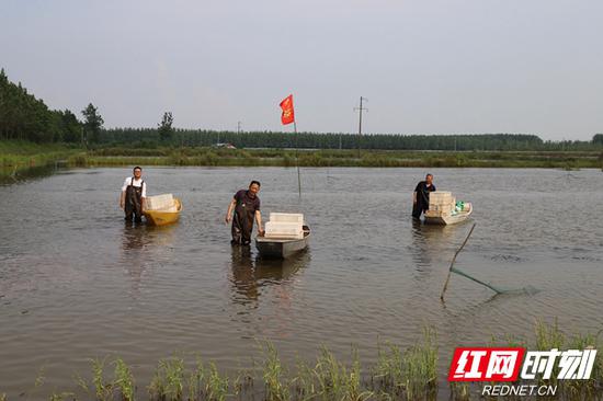 波光粼粼的水面，与虾船相映成趣。