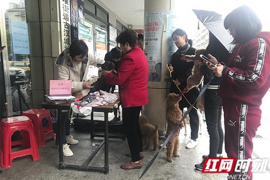 ?#29992;?#25490;队等待为爱犬注射狂犬疫苗。