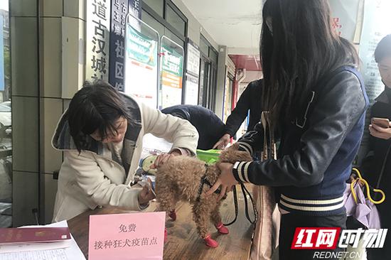 ?#29992;?#30452;呼,这样的活动很人性化,让社区更和谐。
