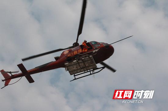 株洲航空消防救援队正在演练空中垂直索降营救荒野被困人员。