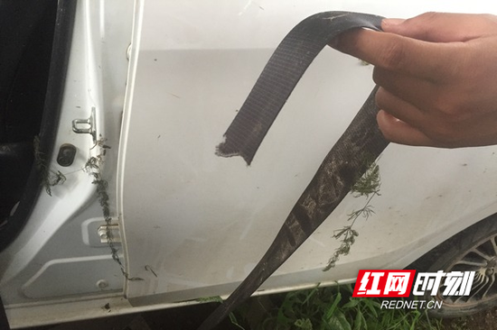 砸开车窗 割断安全带 常德4名村民下水勇救司机