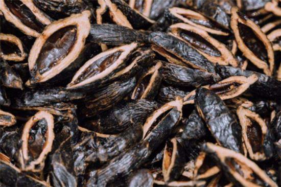 男子刑满释放后“屡教不改” 再偷263元槟榔被罚1000元