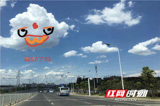 (by网友:我不是萝卜)