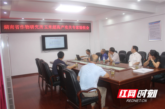 湖南省作物研究所玉米超高产攻关专家验收会。