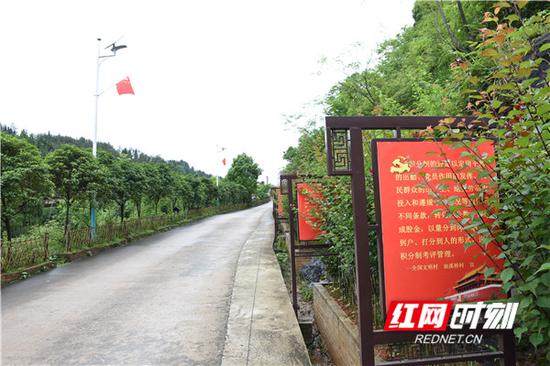 干净整洁的村级道路。