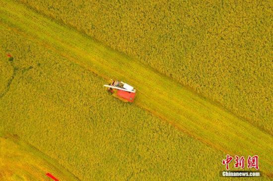 白皮书：中国通过发展增进人民福祉 实现人权保障