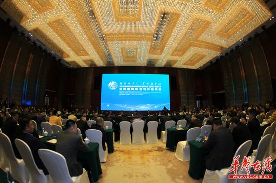 全球湘商会会长益阳座谈