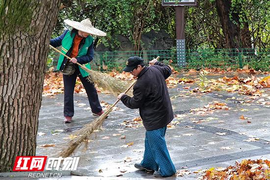 大风过后，11月18日早上湘潭街上铺满了落叶，环卫人员正在进行清扫。