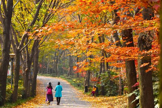 快讯丨2020年1月1日起 湖南省植物园正式免费开放