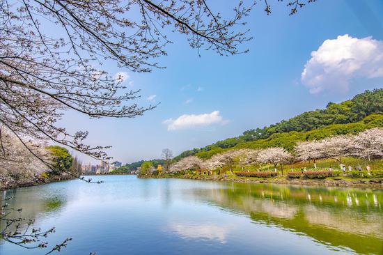 快讯丨2020年1月1日起 湖南省植物园正式免费开放