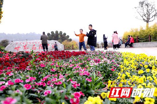 1月5日，湖南省植物园内不乏携家出游的游客。