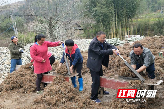 村民在做艾草种植前的准备。