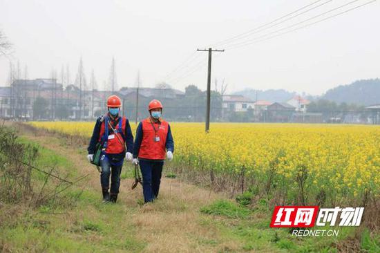 　田间地角，电力外勤人员在忙安检巡视和检修。